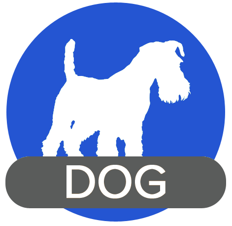 dog icon